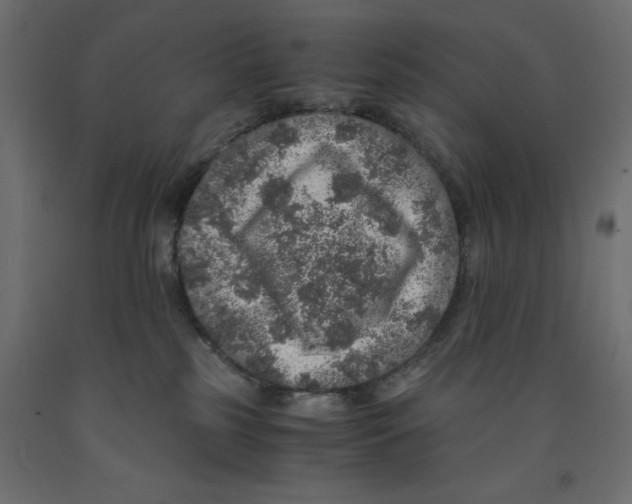 X0000091960185200710041036