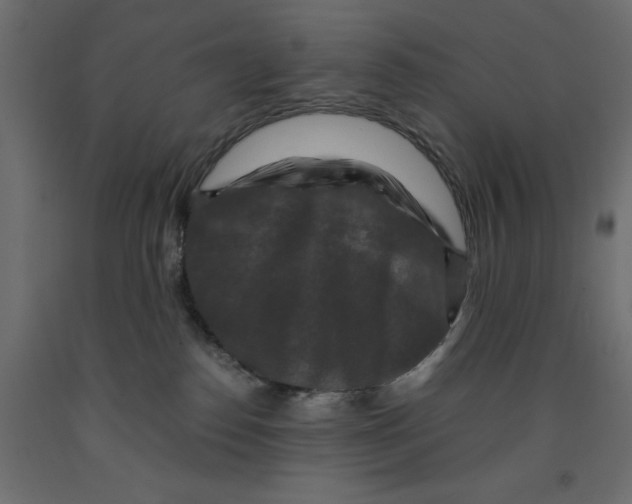 X0000091960186200710041036