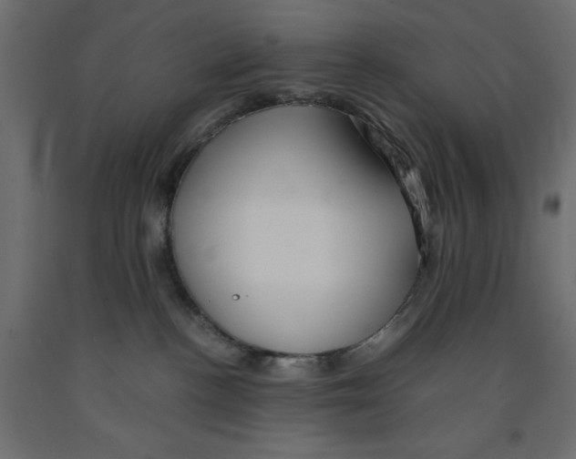 X0000091960188200710041036