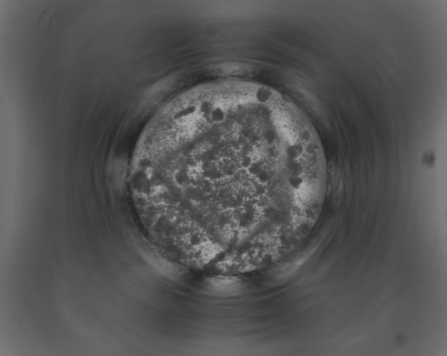 X0000091960189200710041036