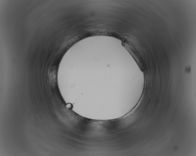 X0000091960190200710041036
