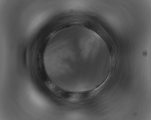 X0000091960191200710041036