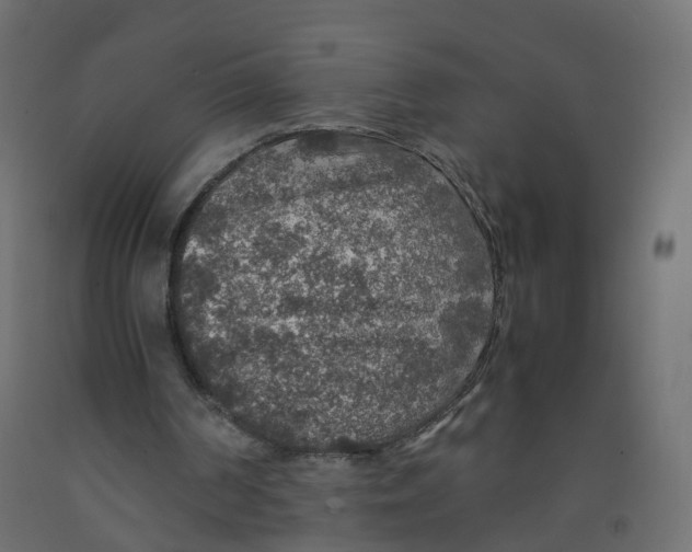X0000091960194200710041035