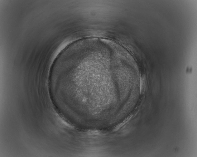 X0000091960195200710041035