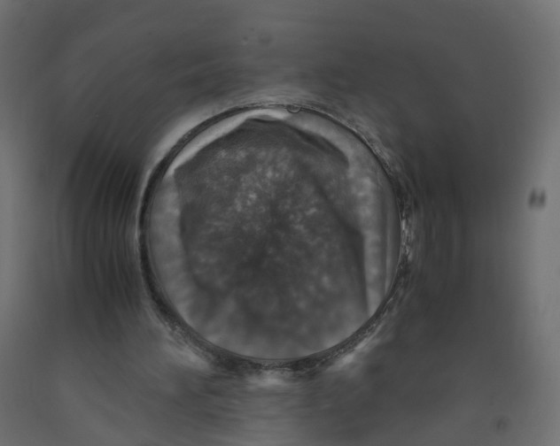 X0000091960196200710041035