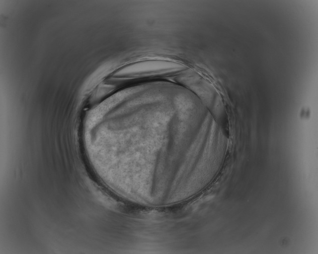 X0000091960197200710041035