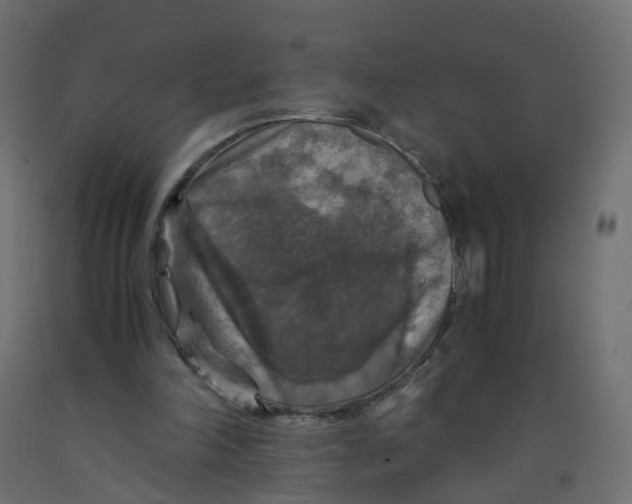 X0000091960198200710041035