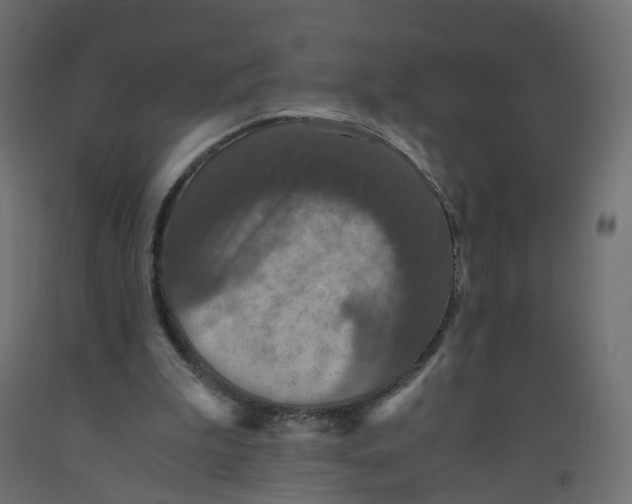 X0000091960199200710041035