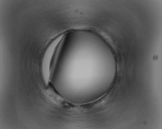 X0000091960201200710041035