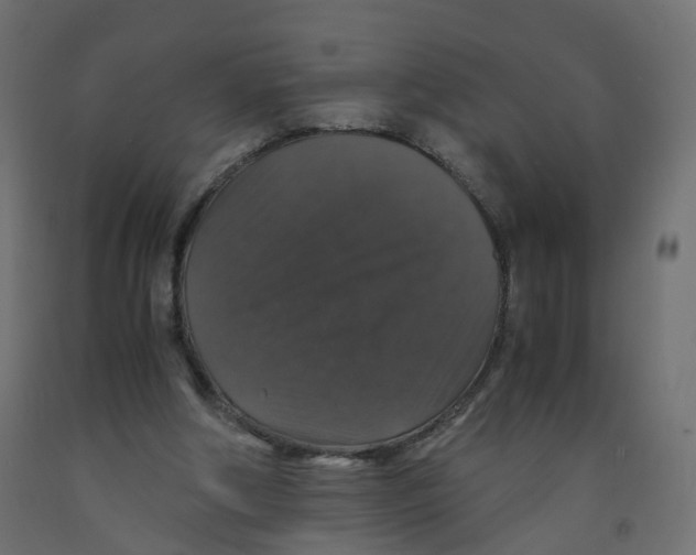 X0000091960202200710041035