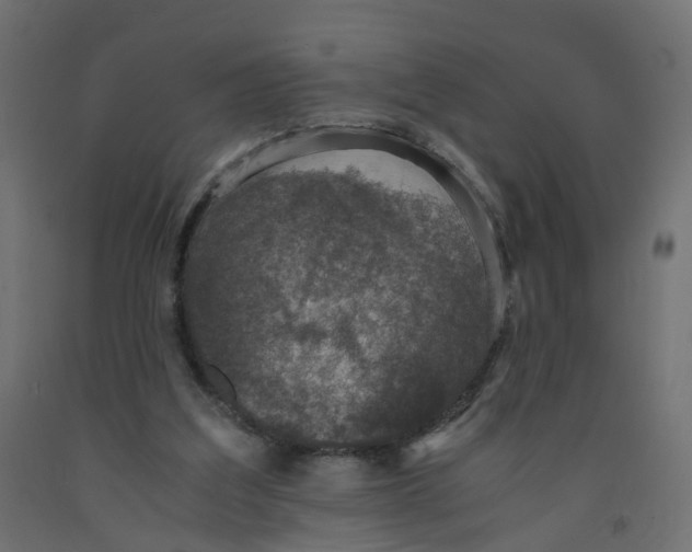 X0000091960203200710041035
