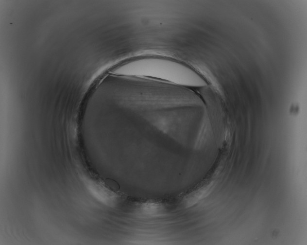 X0000091960204200710041035