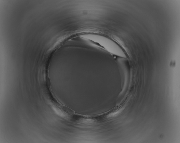 X0000091960205200710041035