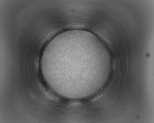 X0000091960206200710041035