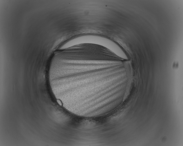 X0000091960207200710041035