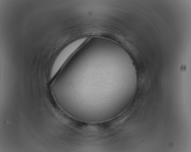 X0000091960209200710041035