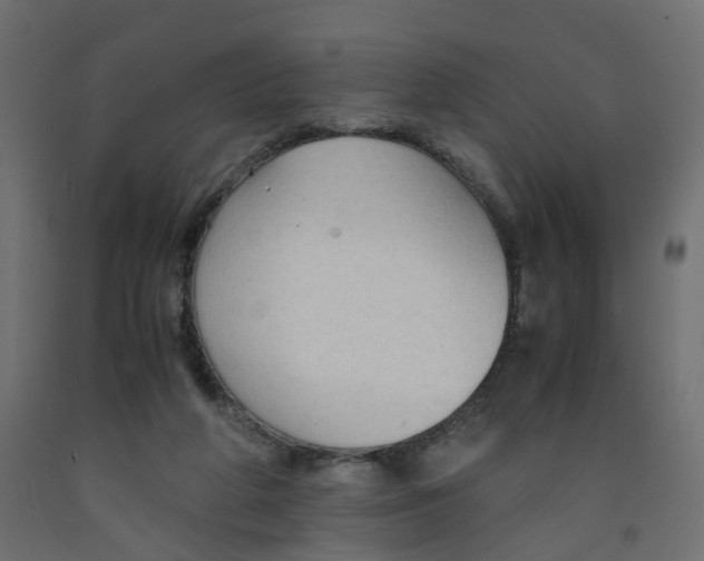X0000091960210200710041035