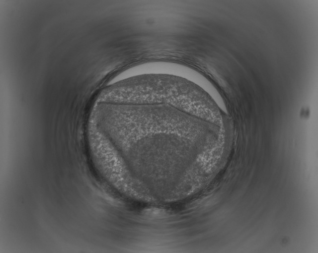 X0000091960211200710041035