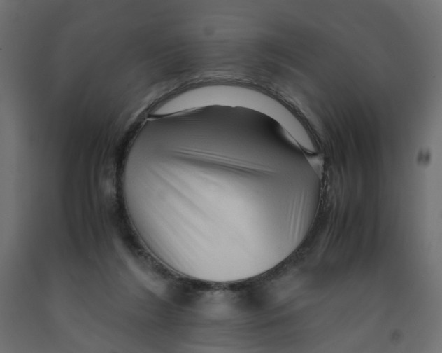 X0000091960212200710041035