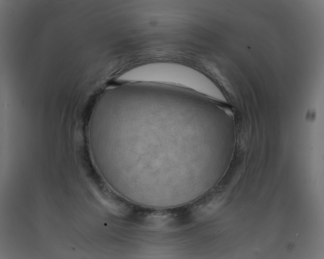 X0000091960213200710041035