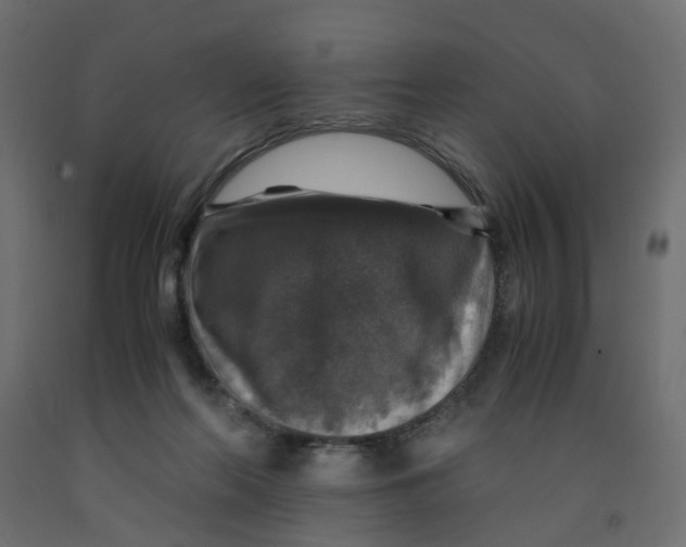 X0000091960214200710041035