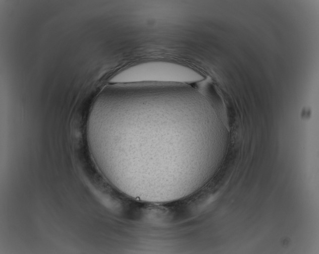 X0000091960215200710041035