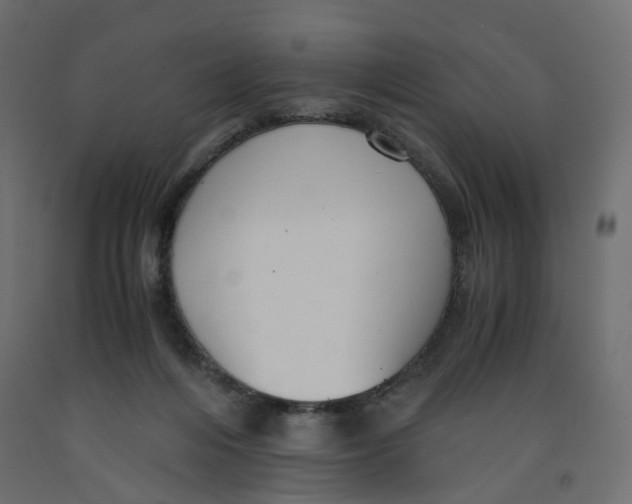 X0000091960216200710041035