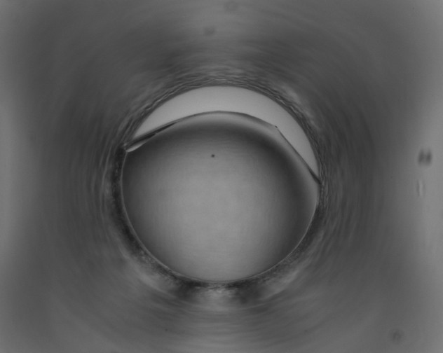 X0000091960217200710041035