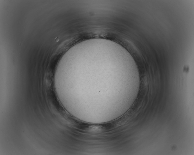 X0000091960218200710041035