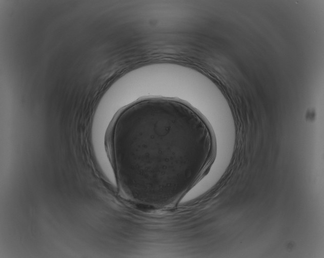 X0000091960219200710041035