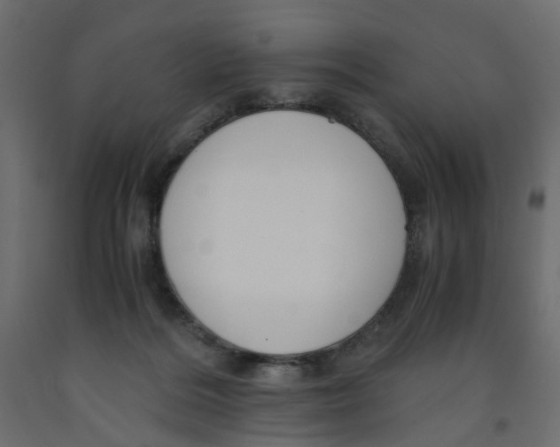 X0000091960220200710041035