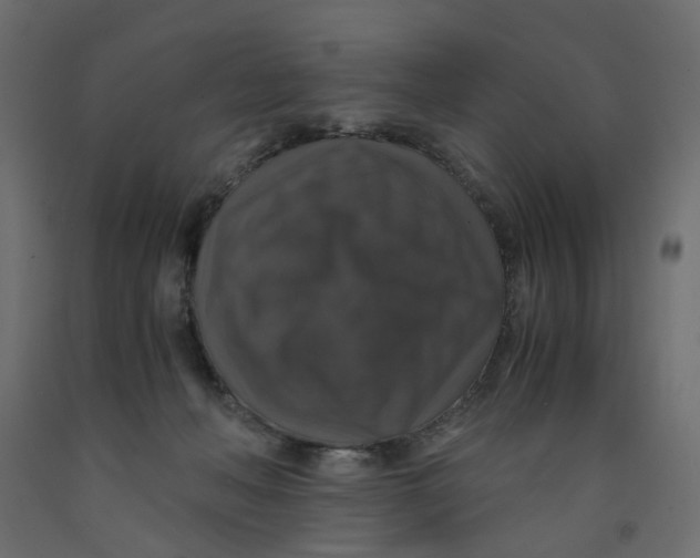 X0000091960222200710041035