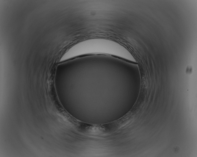 X0000091960223200710041035