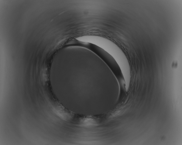 X0000091960224200710041035