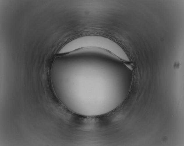 X0000091960225200710041035