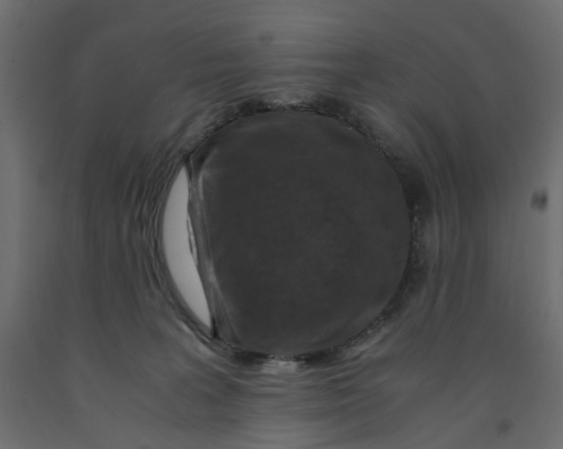 X0000091960227200710041035