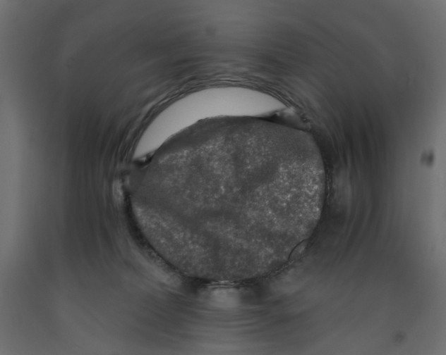X0000091960228200710041035