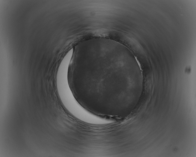 X0000091960229200710041035