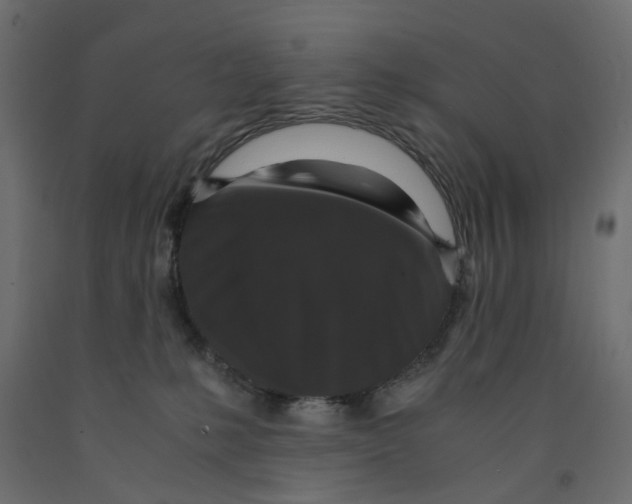 X0000091960231200710041035