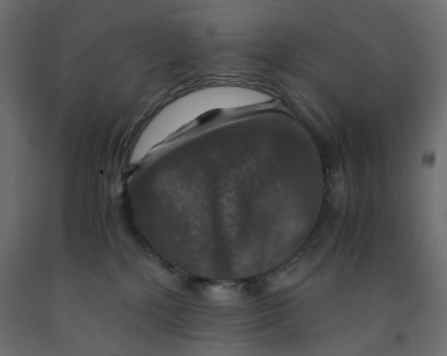 X0000091960232200710041035