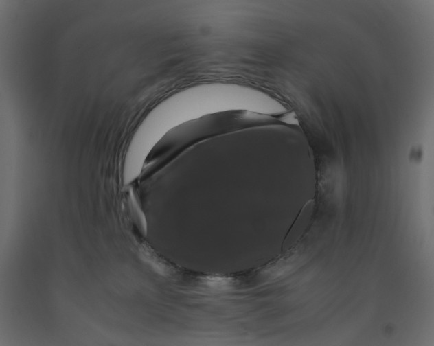 X0000091960233200710041035