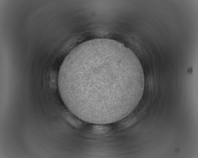 X0000091960234200710041035