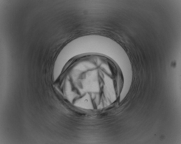 X0000091960235200710041035