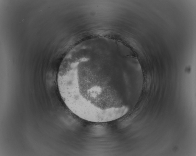 X0000091960236200710041035