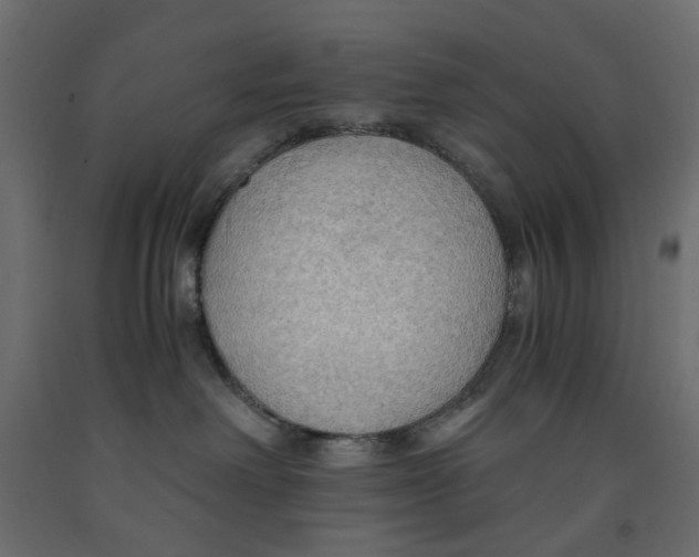 X0000091960238200710041035