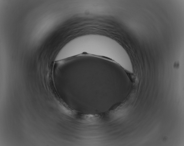X0000091960239200710041035