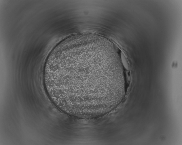 X0000091960241200710041034
