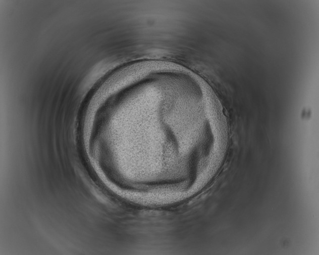 X0000091960242200710041034