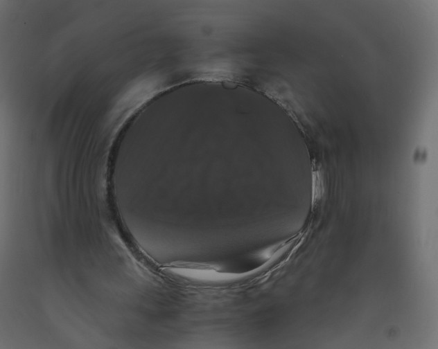 X0000091960243200710041034