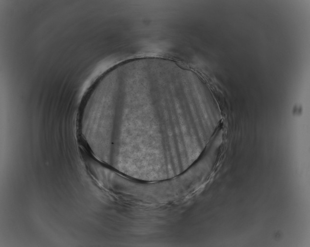 X0000091960244200710041034